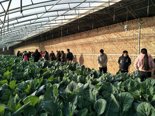 助推北京農(nóng)業(yè)信息化發(fā)展，奧科美獲北京市農(nóng)產(chǎn)品產(chǎn)銷(xiāo)信息協(xié)會(huì)表彰